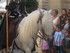 LES MEDIEVALES D'AIGUES MORTES