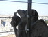P COMME PARIS (4) - SEINE - FR