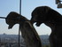 P COMME PARIS (4) - SEINE - FR