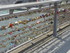 P COMME PARIS (17) - SEINE - F