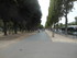 P COMME PARIS (19) - SEINE - F