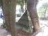LES ONDES DU PÈRE LA CHAISE