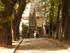 LES ONDES DU PÈRE LA CHAISE
