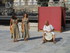 A COMME ARLES - BOUCHES DU RH�