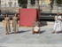 A COMME ARLES - BOUCHES DU RH�