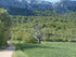 L COMME LA SAINTE BAUME - VAR 