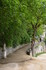 R COMME ROCAMADOUR (22) - LOT 