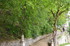 R COMME ROCAMADOUR (22) - LOT 