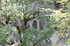 R COMME ROCAMADOUR (23) - LOT 