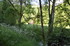 R COMME ROCAMADOUR (27) - LOT 