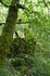 R COMME ROCAMADOUR (27) - LOT 