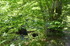 R COMME ROCAMADOUR (27) - LOT 