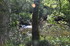 R COMME ROCAMADOUR (27) - LOT 