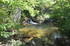 R COMME ROCAMADOUR (27) - LOT 