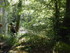 R COMME ROCAMADOUR (27) - LOT 