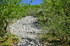 R COMME ROCAMADOUR (28) - LOT 