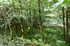 R COMME ROCAMADOUR (28) - LOT 