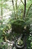 R COMME ROCAMADOUR (28) - LOT 