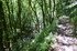 R COMME ROCAMADOUR (29) - LOT 