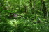 R COMME ROCAMADOUR (29) - LOT 