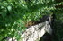 R COMME ROCAMADOUR (30) - LOT 