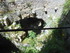 R COMME ROCAMADOUR (30) - LOT 
