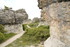 M COMME LES MOURRES (2), FORCA