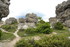 M COMME LES MOURRES (2), FORCA