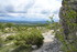 M COMME LES MOURRES (2), FORCA