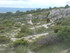 M COMME LES MOURRES (2), FORCA