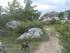 M COMME LES MOURRES (2), FORCA
