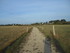 C COMME CARNARC (5) - MORBIHAN