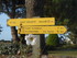C COMME CARNARC (6) - MORBIHAN