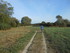 C COMME CARNARC (6) - MORBIHAN