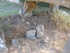 C COMME CARNARC (6) - MORBIHAN