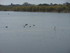C COMME CARNARC (7) - MORBIHAN