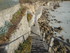 C COMME CARNARC (7) - MORBIHAN
