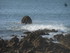C COMME CARNARC (7) - MORBIHAN