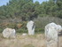 C COMME CARNARC (8) - MORBIHAN