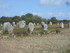 C COMME CARNARC (8) - MORBIHAN