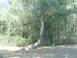 C COMME CARNARC (8) - MORBIHAN