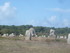 C COMME CARNARC (8) - MORBIHAN