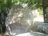 C COMME CARNARC (8) - MORBIHAN