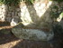 C COMME CARNARC (9) - MORBIHAN