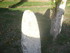 C COMME CARNARC (9) - MORBIHAN