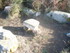 C COMME CARNARC (9) - MORBIHAN