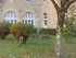 S COMME SAINT COME D'OLT - AVE
