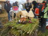 L COMME LAC TITICACA (2) - PÉ