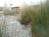 L COMME LAC TITICACA (3) - PÉ