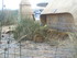 L COMME LAC TITICACA (3) - PÉ